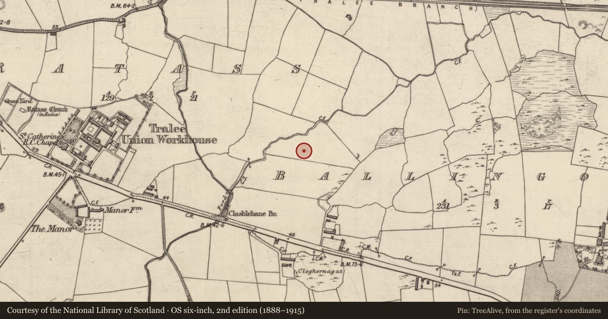 Ordnance Survey six-inch map, 2nd edition (1888–1915) covering the location of Burnt mound, Ballingowan, County Kerry, with a pin at the register's coordinates