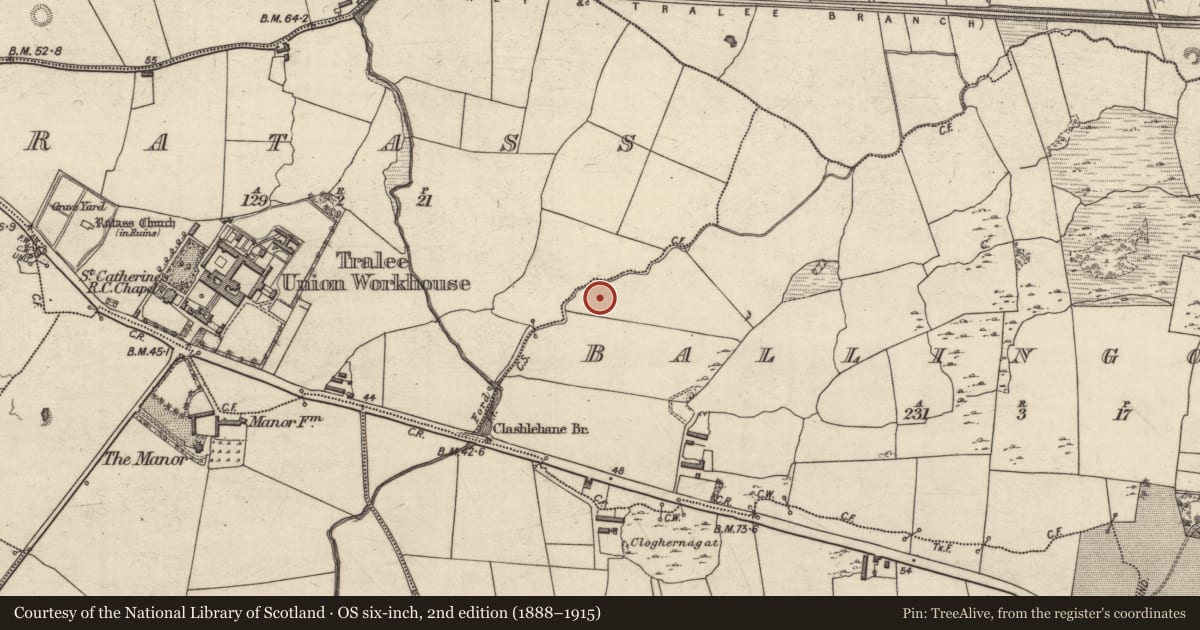 Ordnance Survey six-inch map, 2nd edition (1888–1915) covering the location of Burnt mound, Ballingowan, County Kerry, with a pin at the register's coordinates