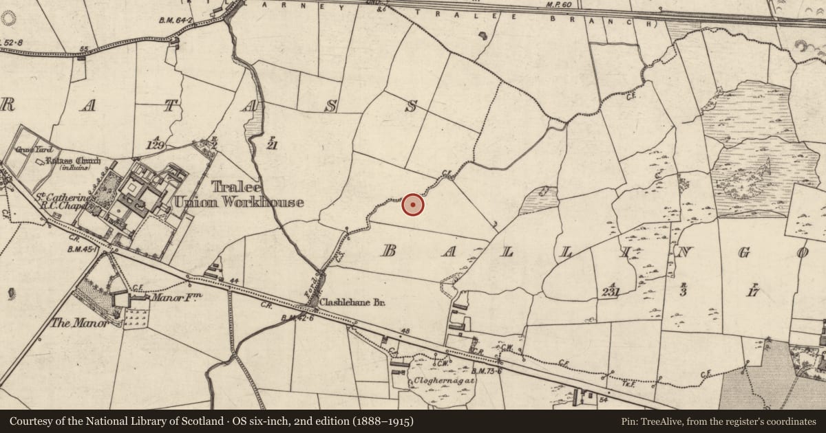 Ordnance Survey six-inch map, 2nd edition (1888–1915) covering the location of Burnt mound, Ballingowan, County Kerry, with a pin at the register's coordinates