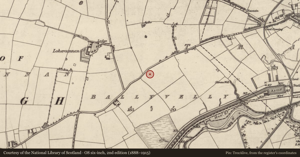 Ordnance Survey six-inch map, 2nd edition (1888–1915) covering the location of Flat cemetery, Ballyvelly, County Kerry, with a pin at the register's coordinates
