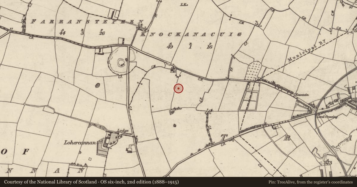 Ordnance Survey six-inch map, 2nd edition (1888–1915) covering the location of Excavation - miscellaneous, Ballyvelly, County Kerry, with a pin at the register's coordinates