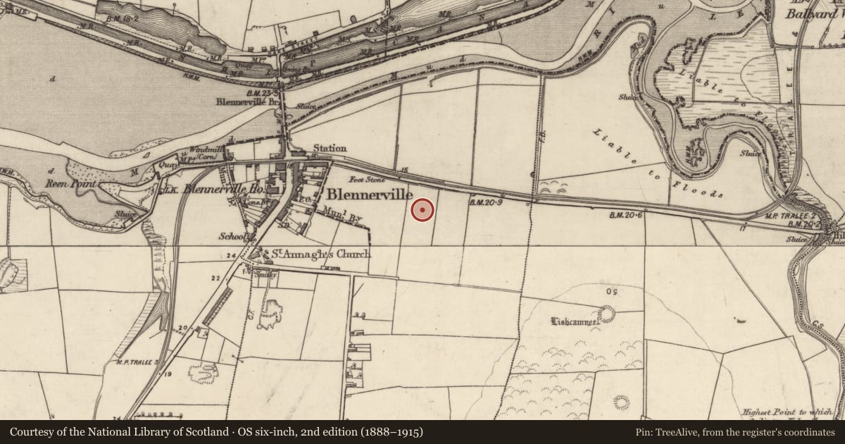 Ordnance Survey six-inch map, 2nd edition (1888–1915) covering the location of Ring-ditch, Blennerville, County Kerry, with a pin at the register's coordinates