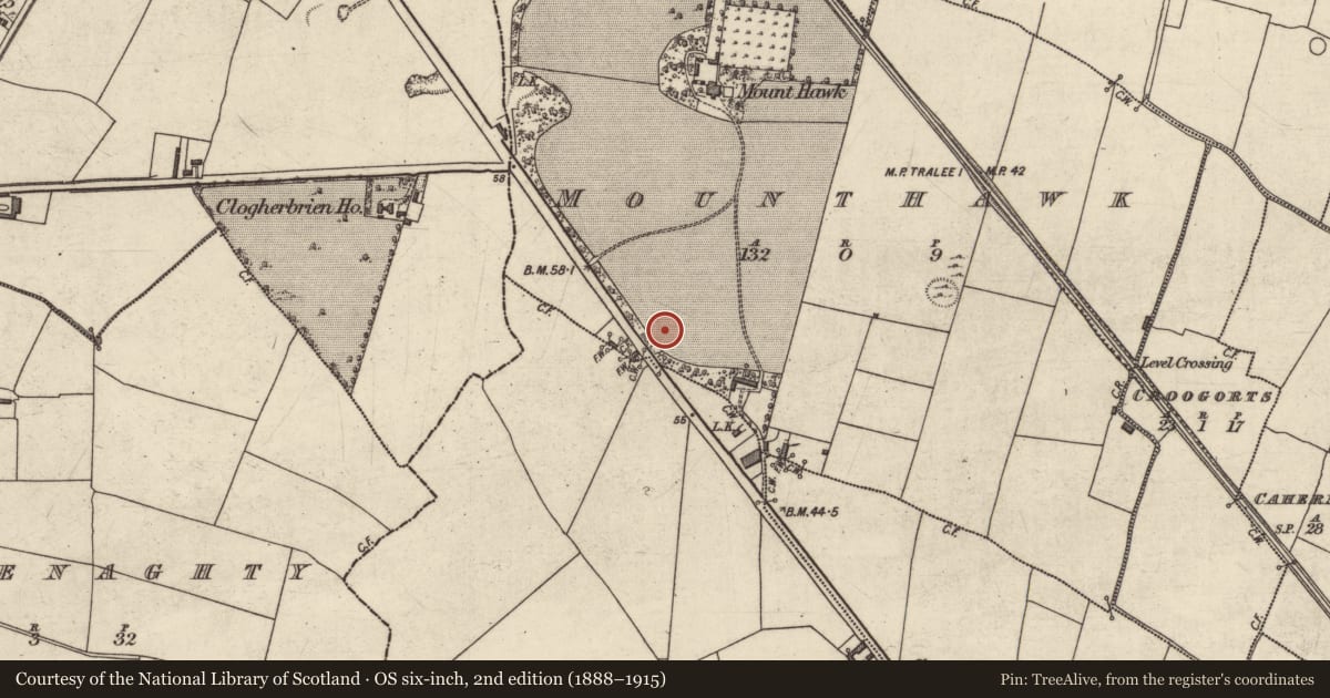 Ordnance Survey six-inch map, 2nd edition (1888–1915) covering the location of Excavation - miscellaneous, Mounthawk, County Kerry, with a pin at the register's coordinates