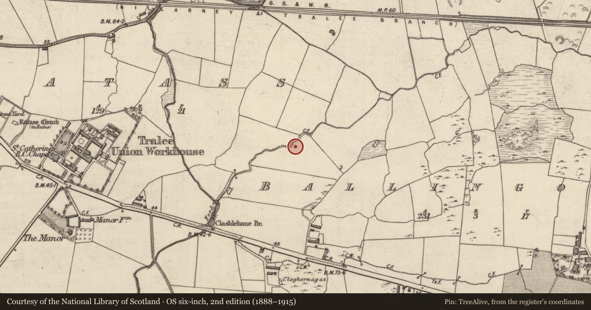 Ordnance Survey six-inch map, 2nd edition (1888–1915) covering the location of Fulacht fia, Ballingowan, County Kerry, with a pin at the register's coordinates
