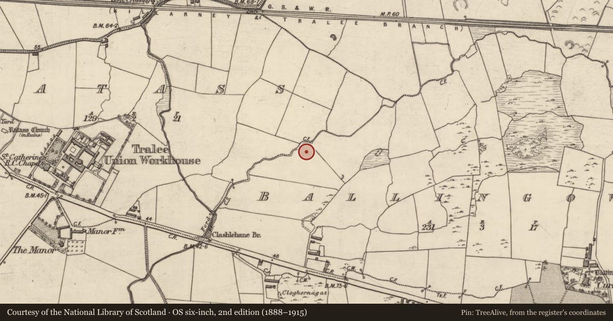 Ordnance Survey six-inch map, 2nd edition (1888–1915) covering the location of Fulacht fia, Ballingowan, County Kerry, with a pin at the register's coordinates