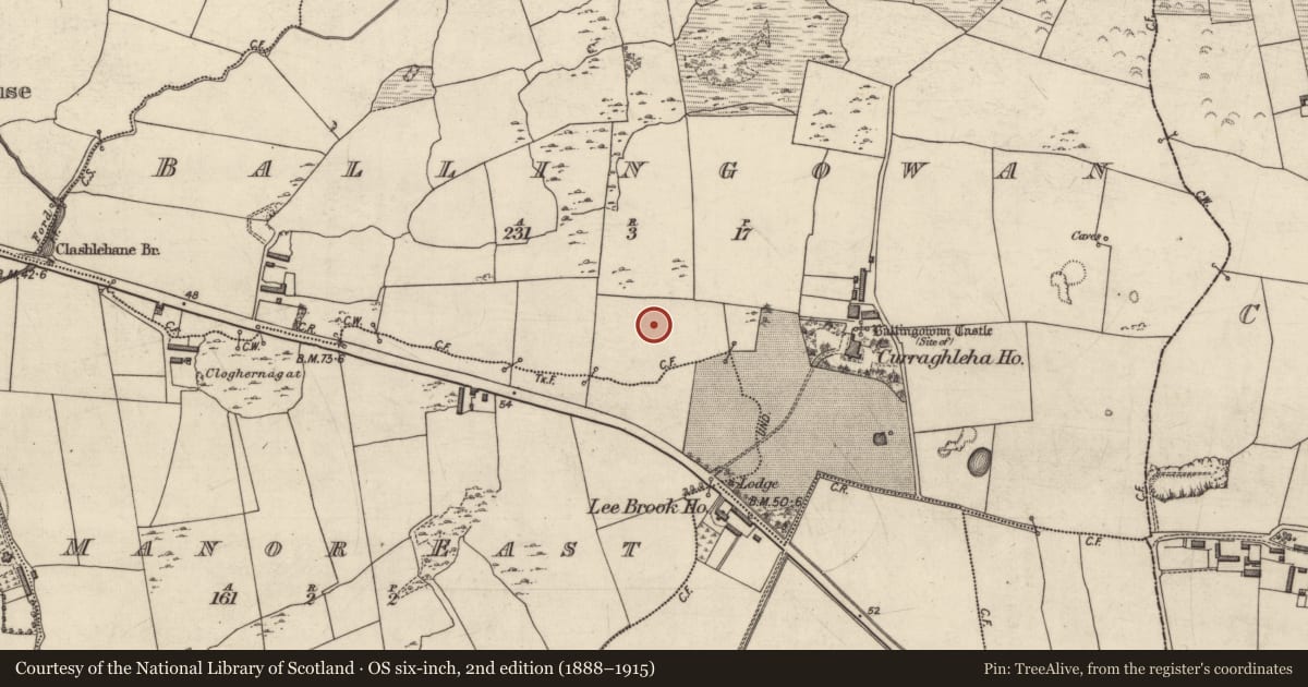 Ordnance Survey six-inch map, 2nd edition (1888–1915) covering the location of Pit alignment, Ballingowan, County Kerry, with a pin at the register's coordinates