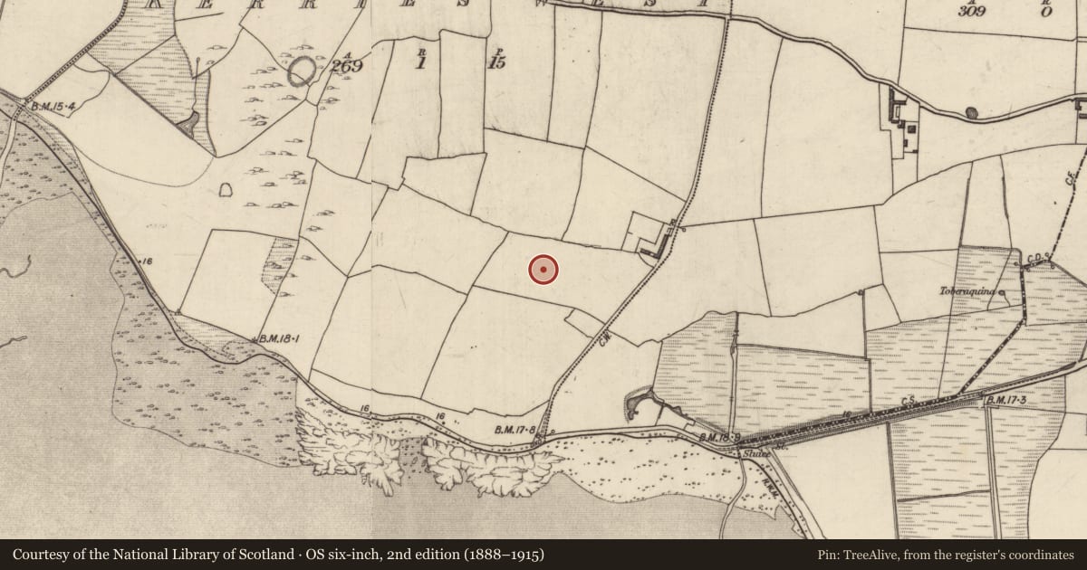 Ordnance Survey six-inch map, 2nd edition (1888–1915) covering the location of Souterrain, Kerries West, County Kerry, with a pin at the register's coordinates