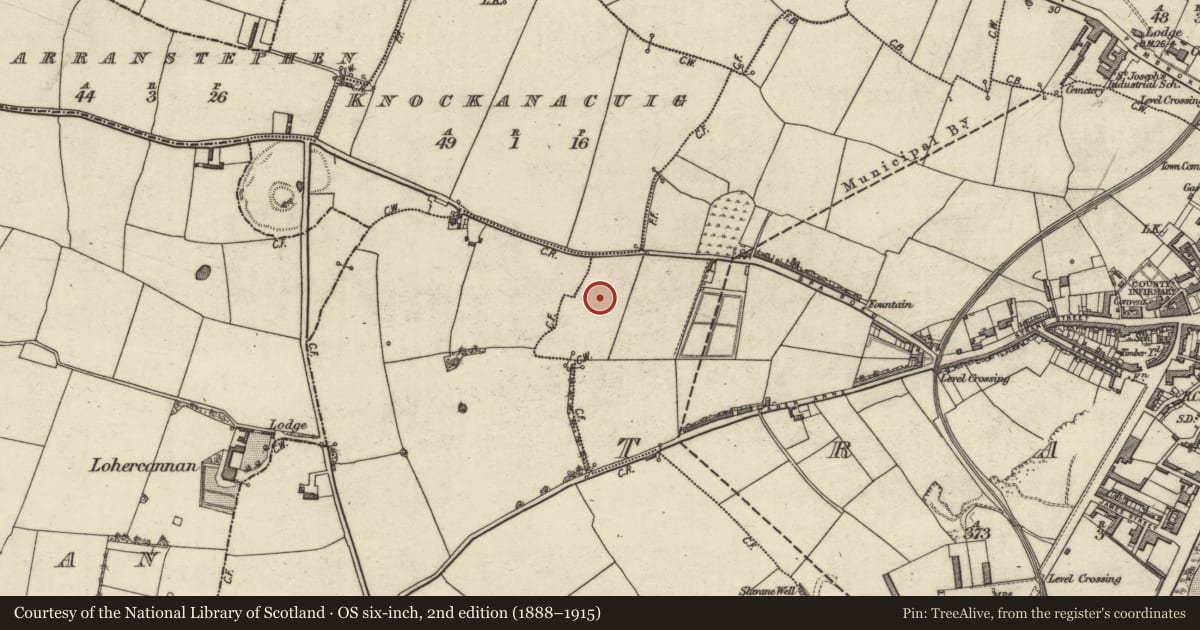 Ordnance Survey six-inch map, 2nd edition (1888–1915) covering the location of Ogham stone, Tralee, County Kerry, with a pin at the register's coordinates