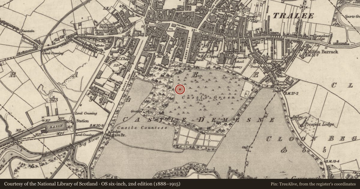 Ordnance Survey six-inch map, 2nd edition (1888–1915) covering the location of Ogham stone (present location), Tralee, County Kerry, with a pin at the register's coordinates