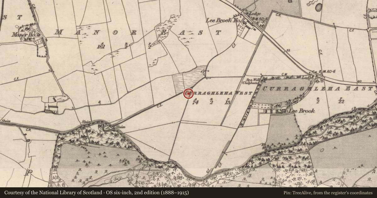 Ordnance Survey six-inch map, 2nd edition (1888–1915) covering the location of Burnt mound, Curraghleha West, County Kerry, with a pin at the register's coordinates