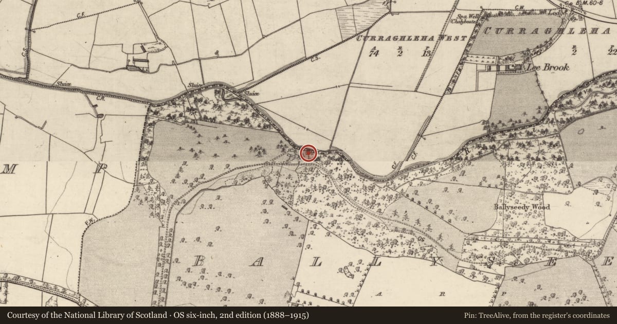 Ordnance Survey six-inch map, 2nd edition (1888–1915) covering the location of Water mill - unclassified, Ballyseedy, County Kerry, with a pin at the register's coordinates