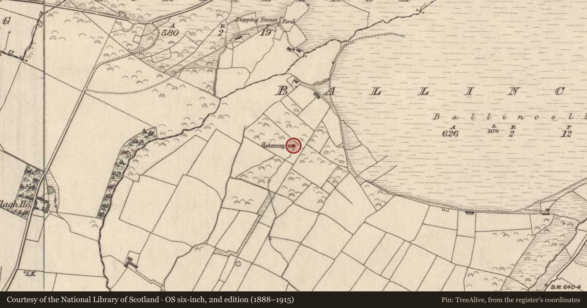 Ordnance Survey six-inch map, 2nd edition (1888–1915) covering the location of Ritual site - holy well, Ballincollig, County Kerry, with a pin at the register's coordinates