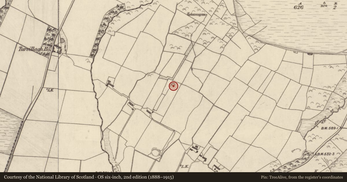 Ordnance Survey six-inch map, 2nd edition (1888–1915) covering the location of Barrow - ring-barrow, Ballincollig, County Kerry, with a pin at the register's coordinates