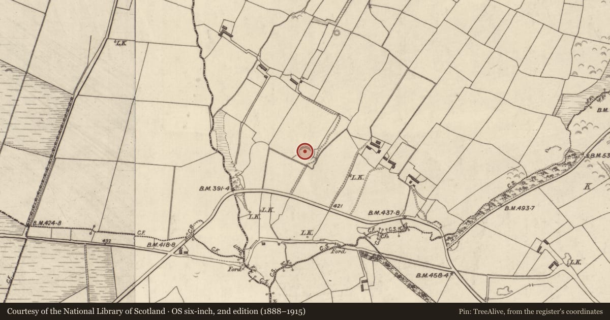 Ordnance Survey six-inch map, 2nd edition (1888–1915) covering the location of Souterrain, Ballincollig, County Kerry, with a pin at the register's coordinates