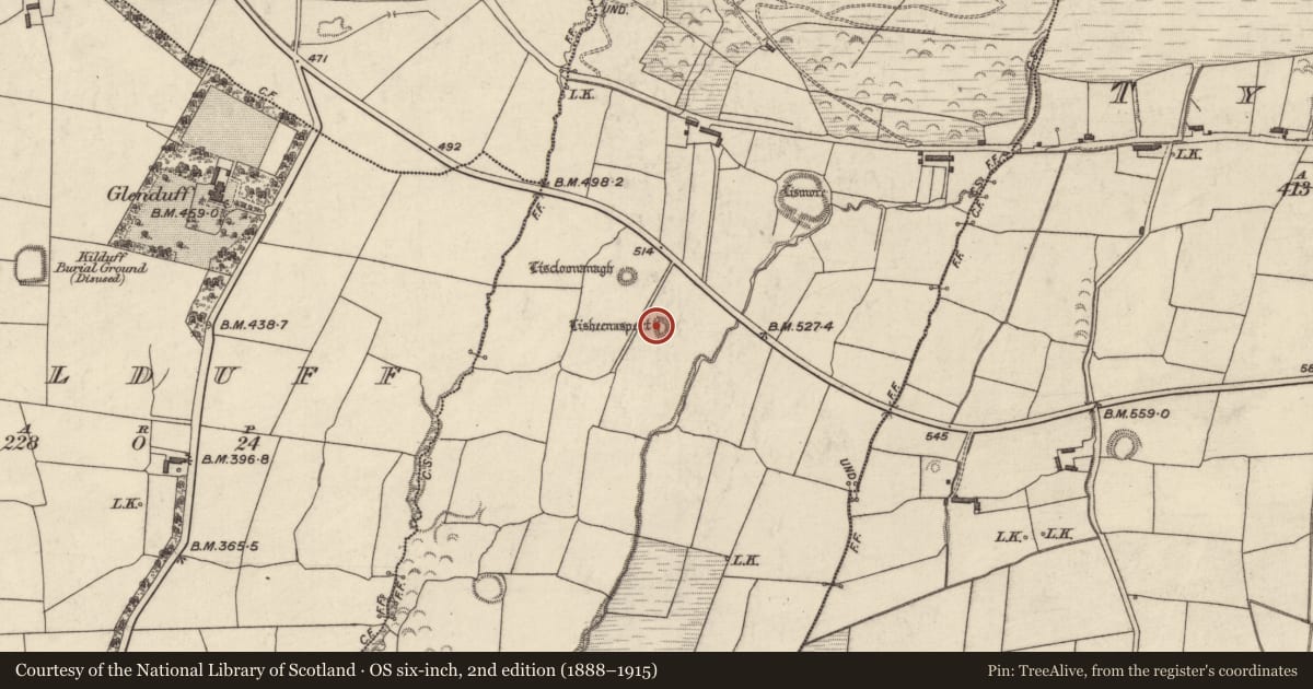 Ordnance Survey six-inch map, 2nd edition (1888–1915) covering the location of Ringfort - rath, Kilmore, County Kerry, with a pin at the register's coordinates