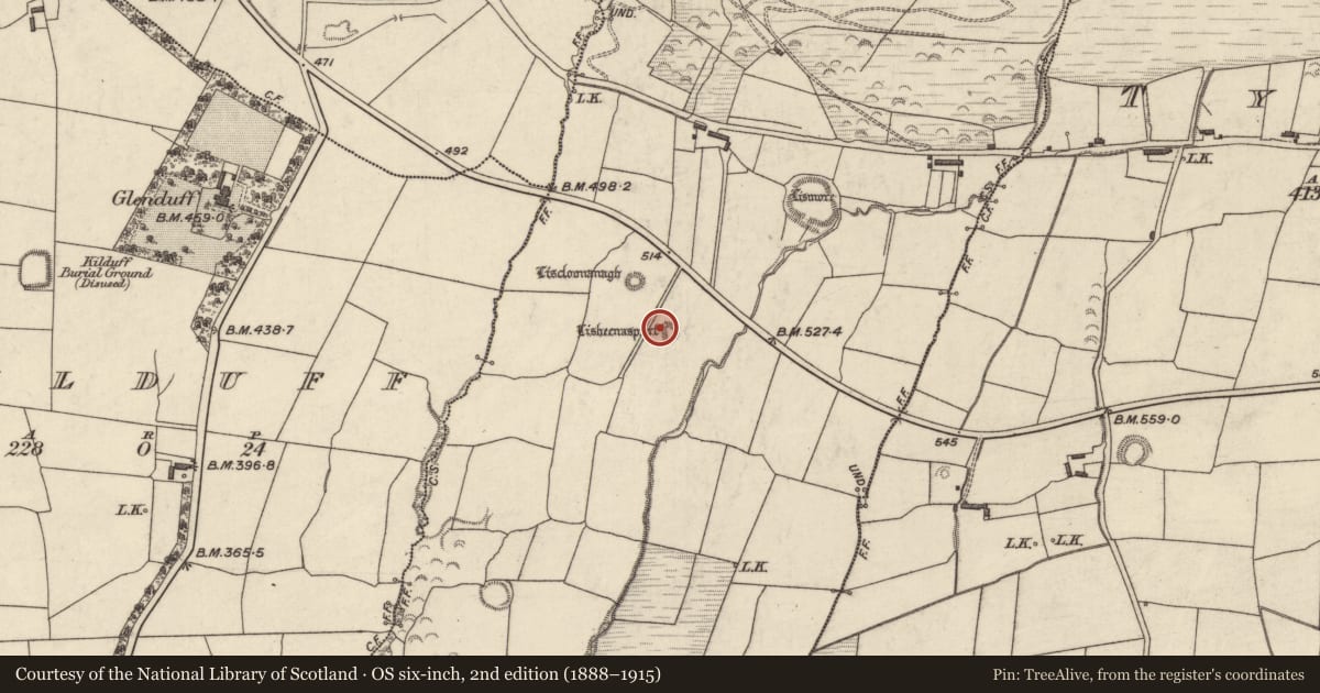 Ordnance Survey six-inch map, 2nd edition (1888–1915) covering the location of Hut site, Kilmore, County Kerry, with a pin at the register's coordinates