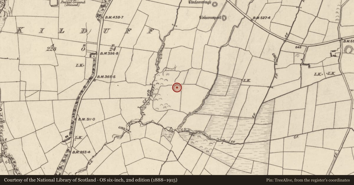 Ordnance Survey six-inch map, 2nd edition (1888–1915) covering the location of Ringfort - rath, Kilmore, County Kerry, with a pin at the register's coordinates