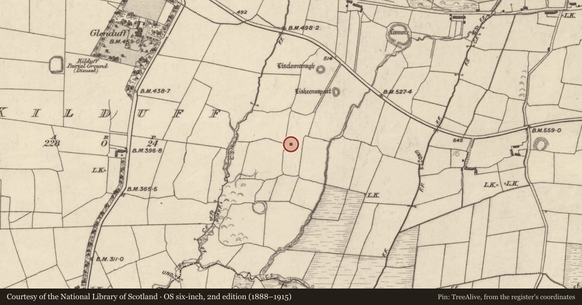 Ordnance Survey six-inch map, 2nd edition (1888–1915) covering the location of Souterrain, Kilmore, County Kerry, with a pin at the register's coordinates