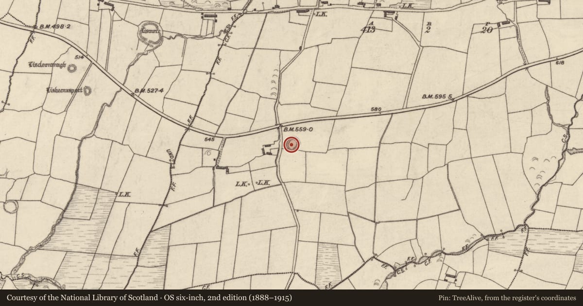 Ordnance Survey six-inch map, 2nd edition (1888–1915) covering the location of Souterrain, Tylagh, County Kerry, with a pin at the register's coordinates