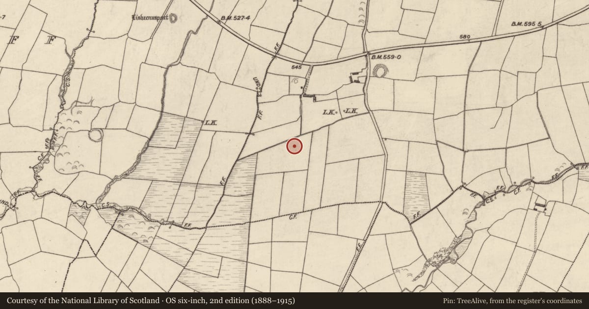 Ordnance Survey six-inch map, 2nd edition (1888–1915) covering the location of Fulacht fia, Tylagh, County Kerry, with a pin at the register's coordinates