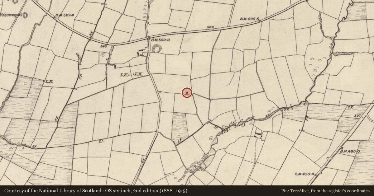 Ordnance Survey six-inch map, 2nd edition (1888–1915) covering the location of Fulacht fia, Tylagh, County Kerry, with a pin at the register's coordinates