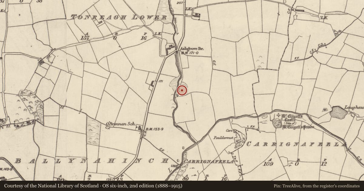 Ordnance Survey six-inch map, 2nd edition (1888–1915) covering the location of Ringfort - rath, Carrignafeela (Trughanacmy By., O'Brennan Par.), County Kerry, with a pin at the register's coordinates