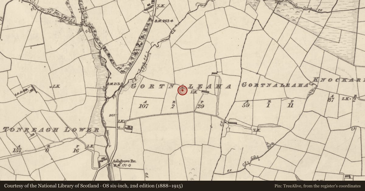 Ordnance Survey six-inch map, 2nd edition (1888–1915) covering the location of Ringfort - rath, Gortnaleaha (Trughanacmy By., Ballymacelligott Par.), County Kerry, with a pin at the register's coordinates