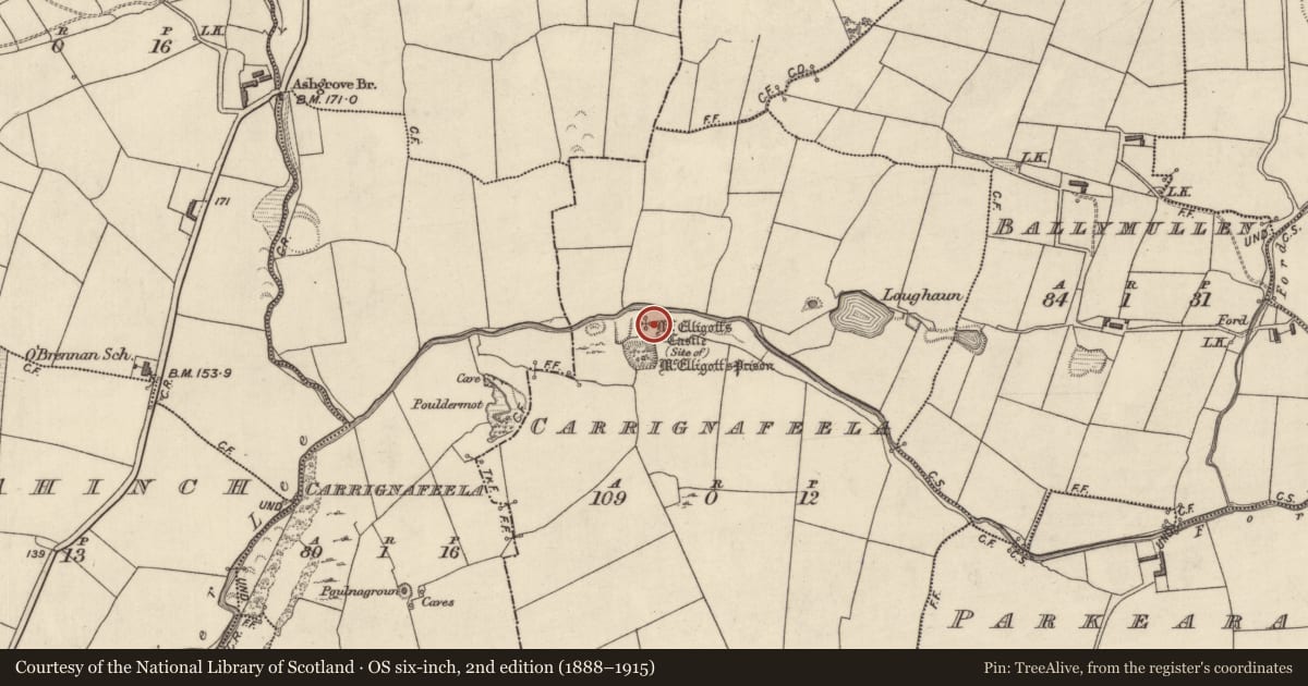 Ordnance Survey six-inch map, 2nd edition (1888–1915) covering the location of Castle - unclassified, Carrignafeela (Trughanacmy By., O'Brennan Par.), County Kerry, with a pin at the register's coordinates