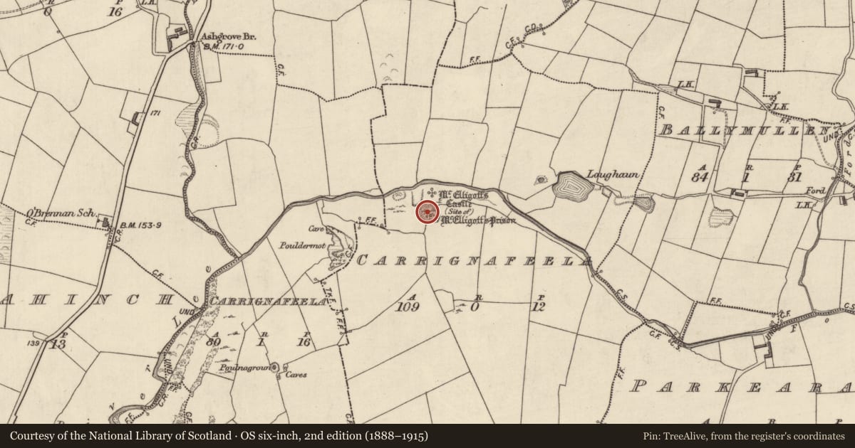 Ordnance Survey six-inch map, 2nd edition (1888–1915) covering the location of Enclosure, Carrignafeela (Trughanacmy By., O'Brennan Par.), County Kerry, with a pin at the register's coordinates
