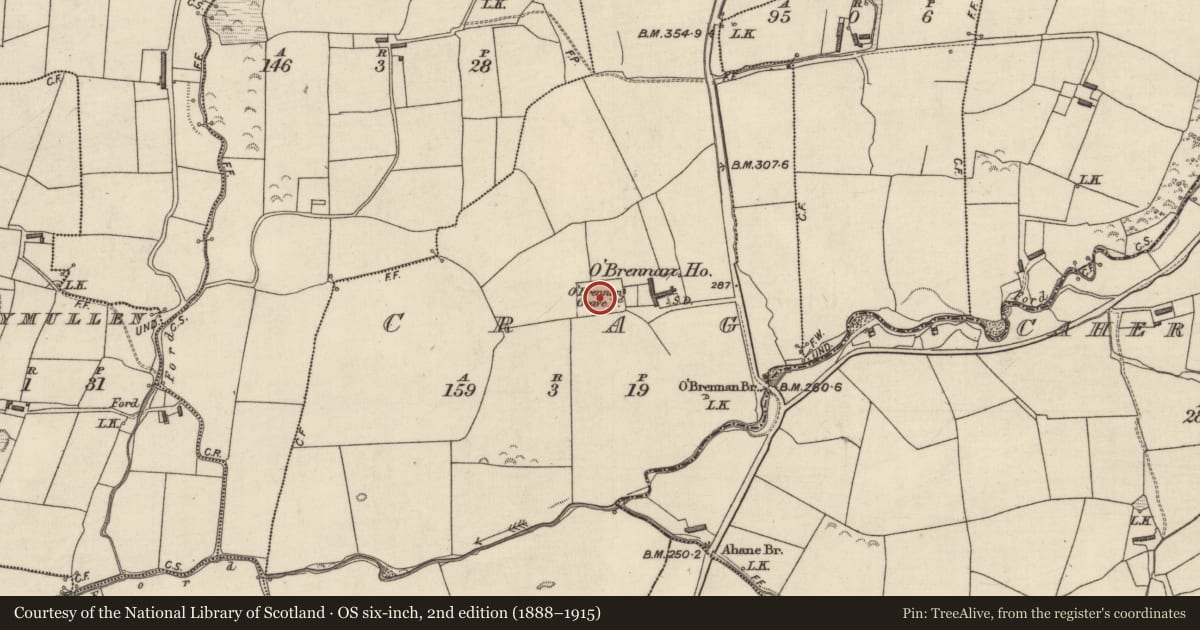Ordnance Survey six-inch map, 2nd edition (1888–1915) covering the location of Graveyard, Crag, County Kerry, with a pin at the register's coordinates
