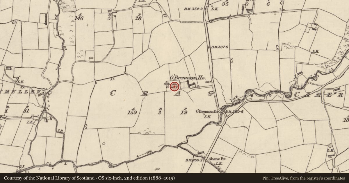 Ordnance Survey six-inch map, 2nd edition (1888–1915) covering the location of Church, Crag, County Kerry, with a pin at the register's coordinates