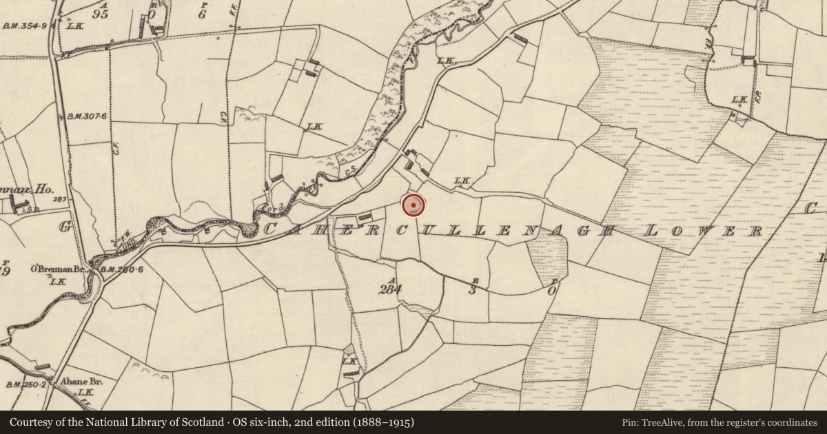 Ordnance Survey six-inch map, 2nd edition (1888–1915) covering the location of Ringfort - rath, Cahercullenagh Lower, County Kerry, with a pin at the register's coordinates