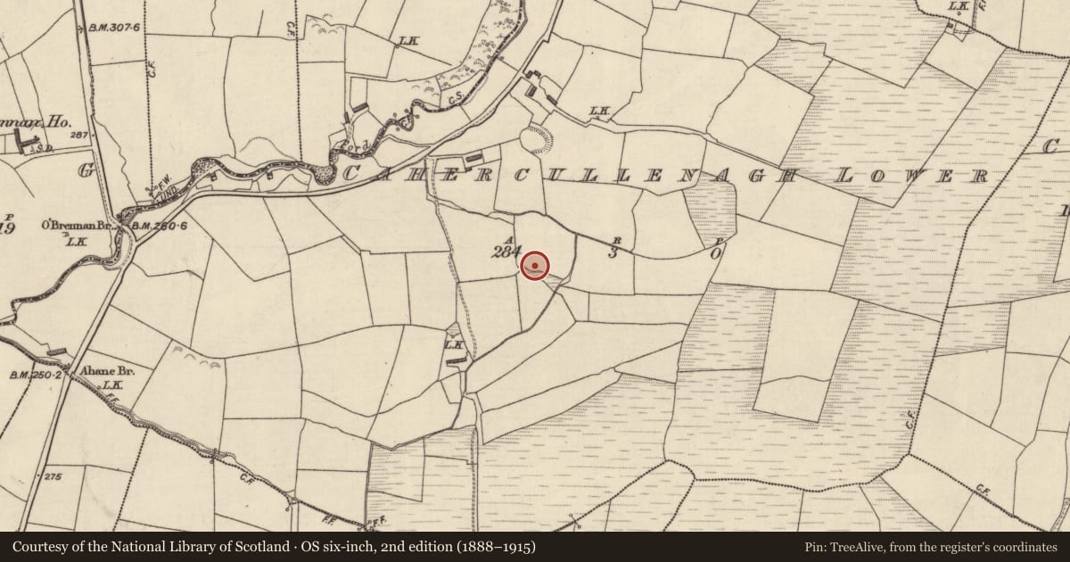 Ordnance Survey six-inch map, 2nd edition (1888–1915) covering the location of Ringfort - rath, Cahercullenagh Lower, County Kerry, with a pin at the register's coordinates