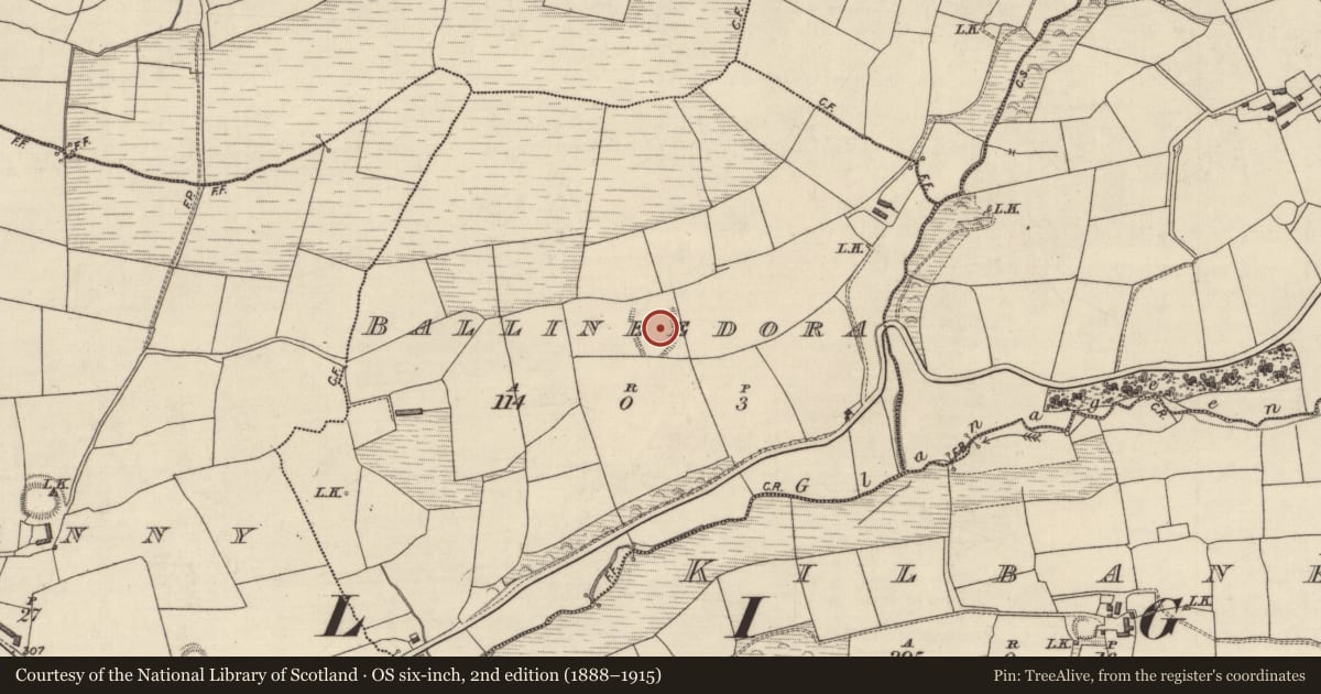 Ordnance Survey six-inch map, 2nd edition (1888–1915) covering the location of Ringfort - rath, Ballineedora, County Kerry, with a pin at the register's coordinates