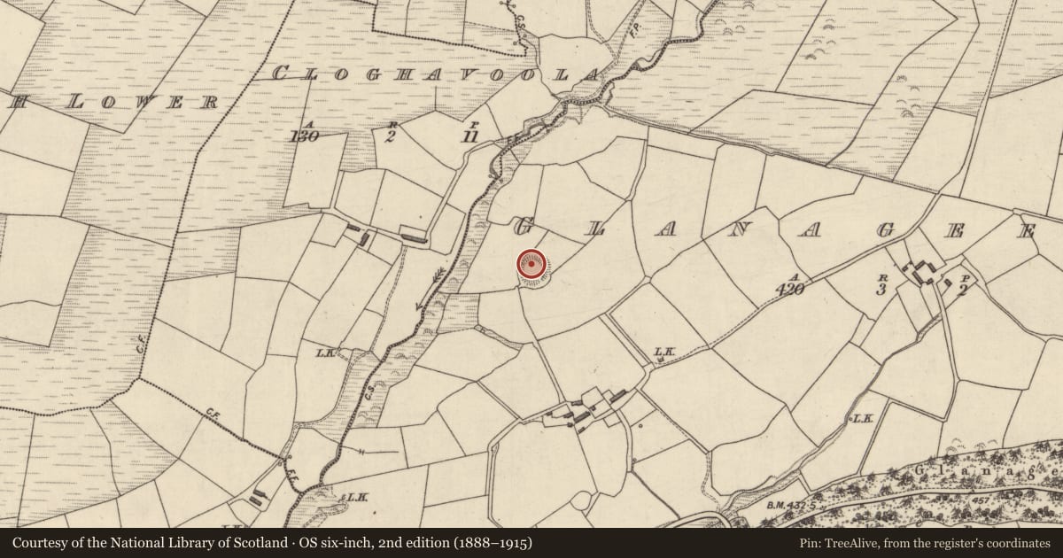 Ordnance Survey six-inch map, 2nd edition (1888–1915) covering the location of Souterrain, Glanageenty, County Kerry, with a pin at the register's coordinates