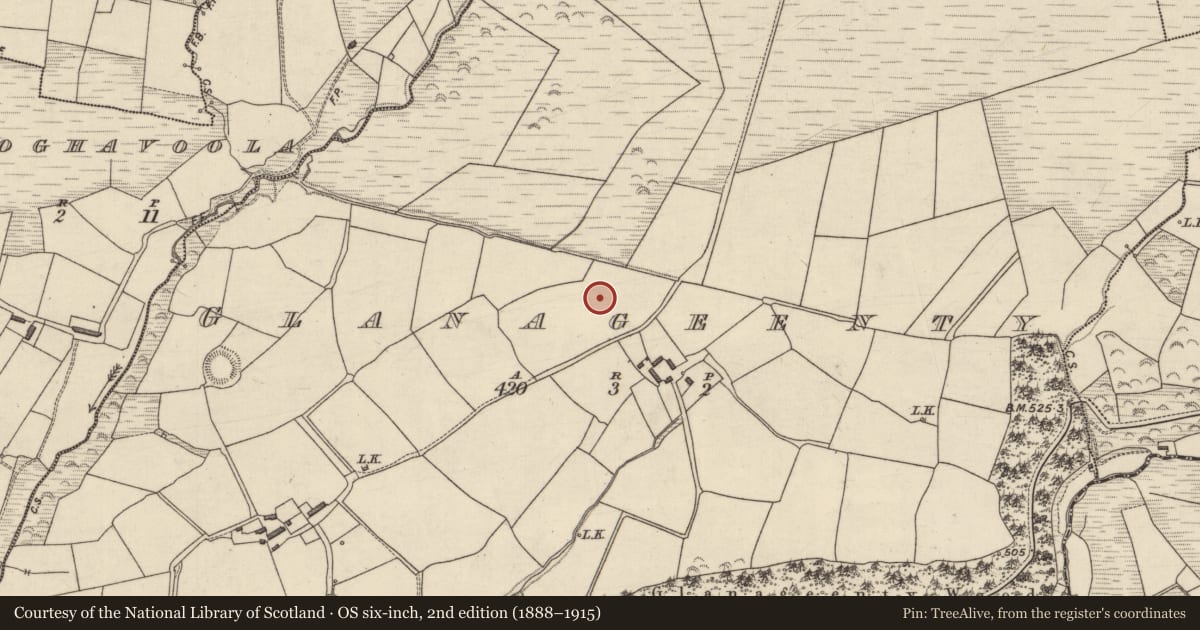 Ordnance Survey six-inch map, 2nd edition (1888–1915) covering the location of Ringfort - rath, Glanageenty, County Kerry, with a pin at the register's coordinates