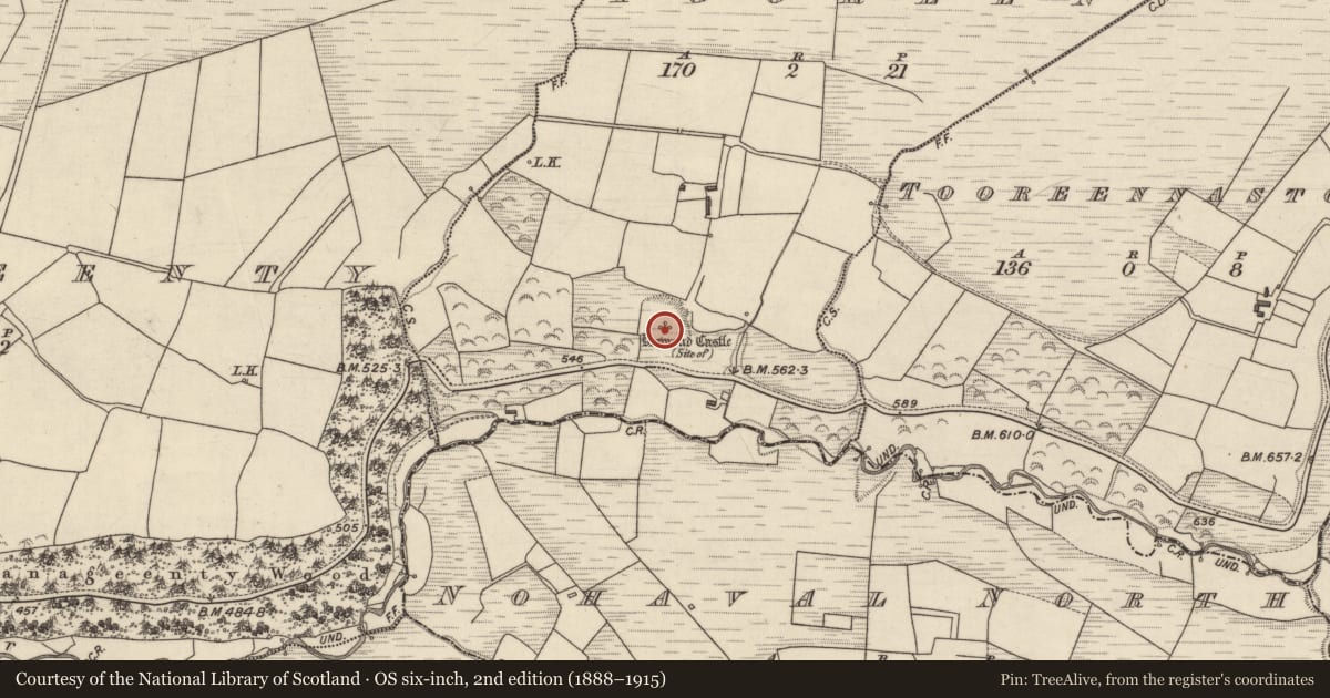 Ordnance Survey six-inch map, 2nd edition (1888–1915) covering the location of Castle - unclassified, Tooreen, County Kerry, with a pin at the register's coordinates