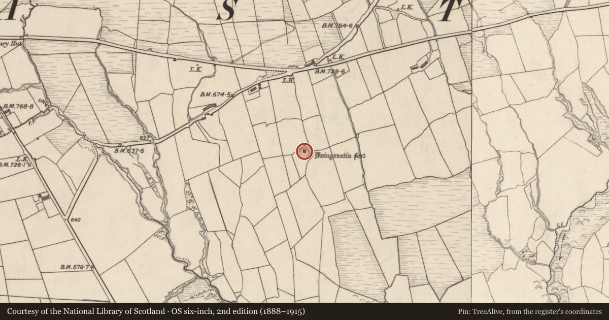 Ordnance Survey six-inch map, 2nd edition (1888–1915) covering the location of Ringfort - rath, Tullagubbeen, County Kerry, with a pin at the register's coordinates