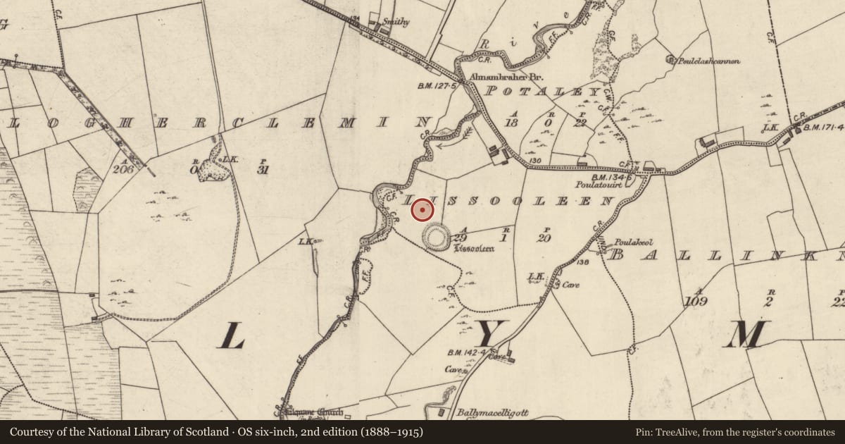Ordnance Survey six-inch map, 2nd edition (1888–1915) covering the location of Standing stone, Lissooleen, County Kerry, with a pin at the register's coordinates
