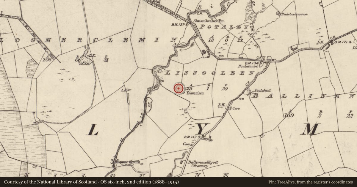 Ordnance Survey six-inch map, 2nd edition (1888–1915) covering the location of Ringfort - rath, Lissooleen, County Kerry, with a pin at the register's coordinates