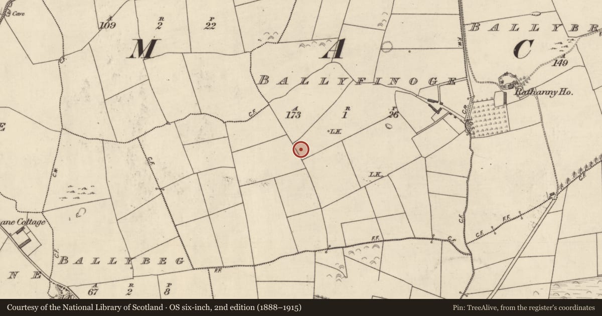 Ordnance Survey six-inch map, 2nd edition (1888–1915) covering the location of Enclosure, Ballyfinoge, County Kerry, with a pin at the register's coordinates