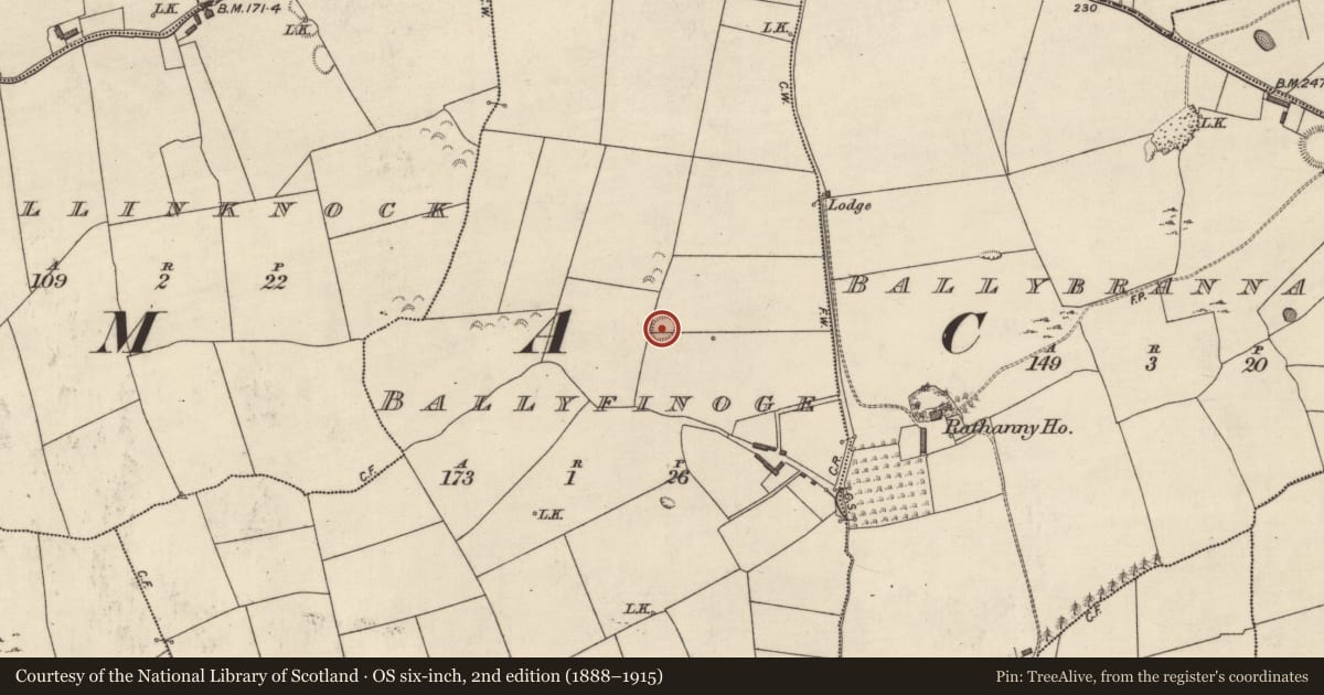 Ordnance Survey six-inch map, 2nd edition (1888–1915) covering the location of Ringfort - rath, Ballyfinoge, County Kerry, with a pin at the register's coordinates