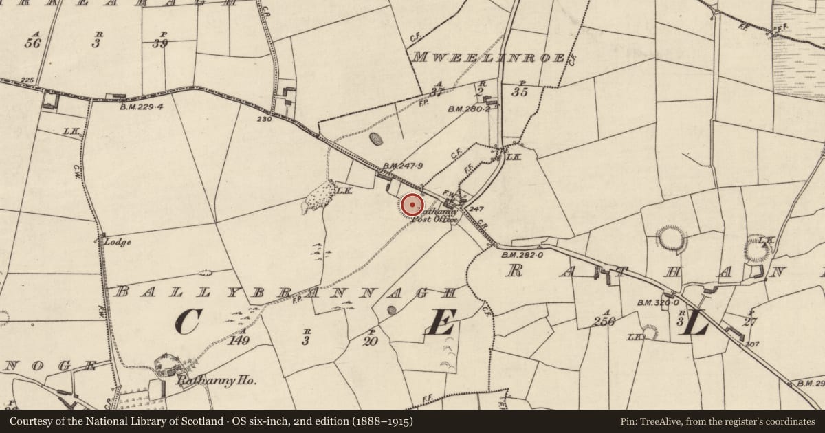 Ordnance Survey six-inch map, 2nd edition (1888–1915) covering the location of Ringfort - rath, Ballybrannagh, County Kerry, with a pin at the register's coordinates