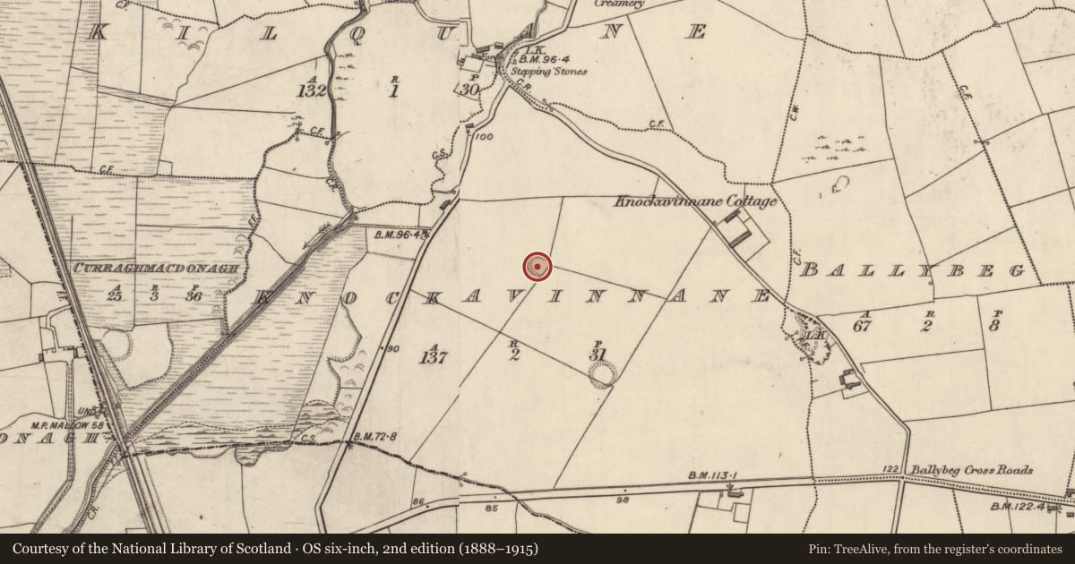 Ordnance Survey six-inch map, 2nd edition (1888–1915) covering the location of Ringfort - rath, Knockavinnane, County Kerry, with a pin at the register's coordinates