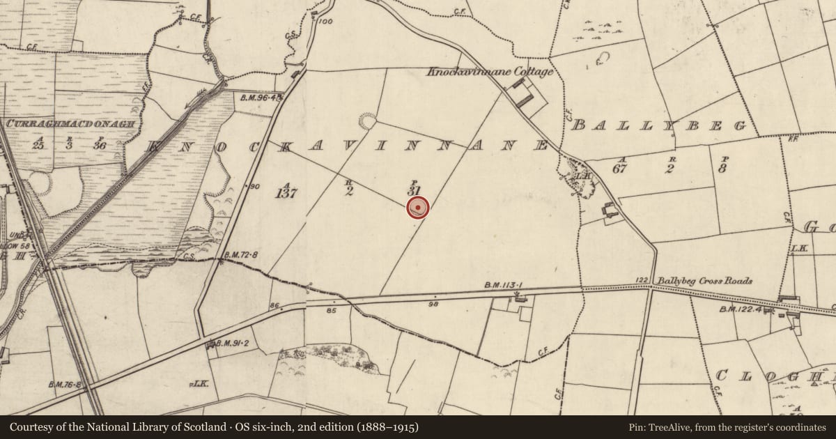 Ordnance Survey six-inch map, 2nd edition (1888–1915) covering the location of Ringfort - rath, Knockavinnane, County Kerry, with a pin at the register's coordinates