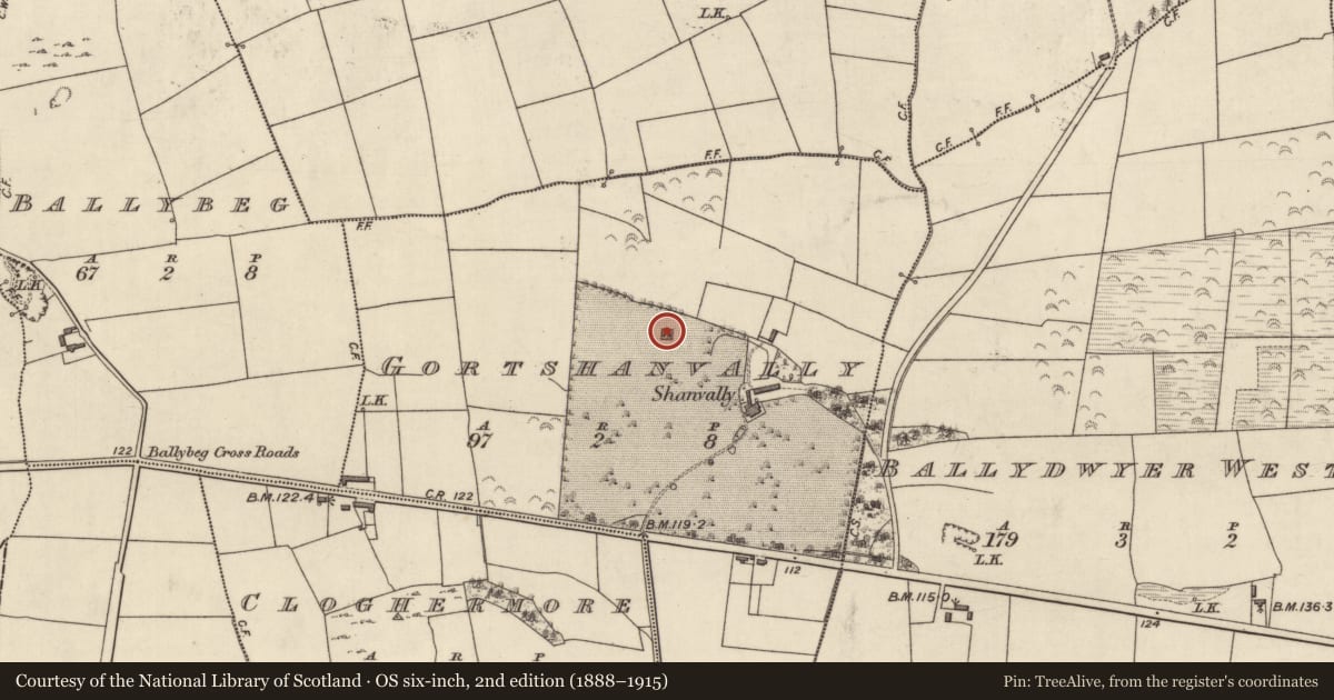 Ordnance Survey six-inch map, 2nd edition (1888–1915) covering the location of Enclosure, Gortshanvally, County Kerry, with a pin at the register's coordinates