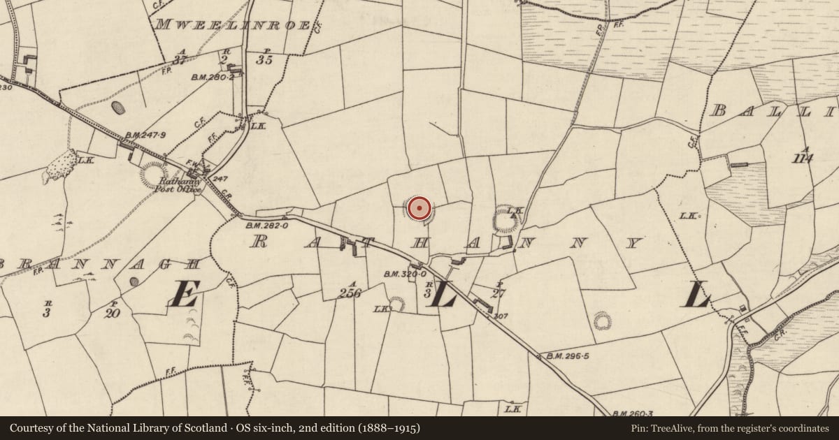 Ordnance Survey six-inch map, 2nd edition (1888–1915) covering the location of Souterrain, Rathanny, County Kerry, with a pin at the register's coordinates
