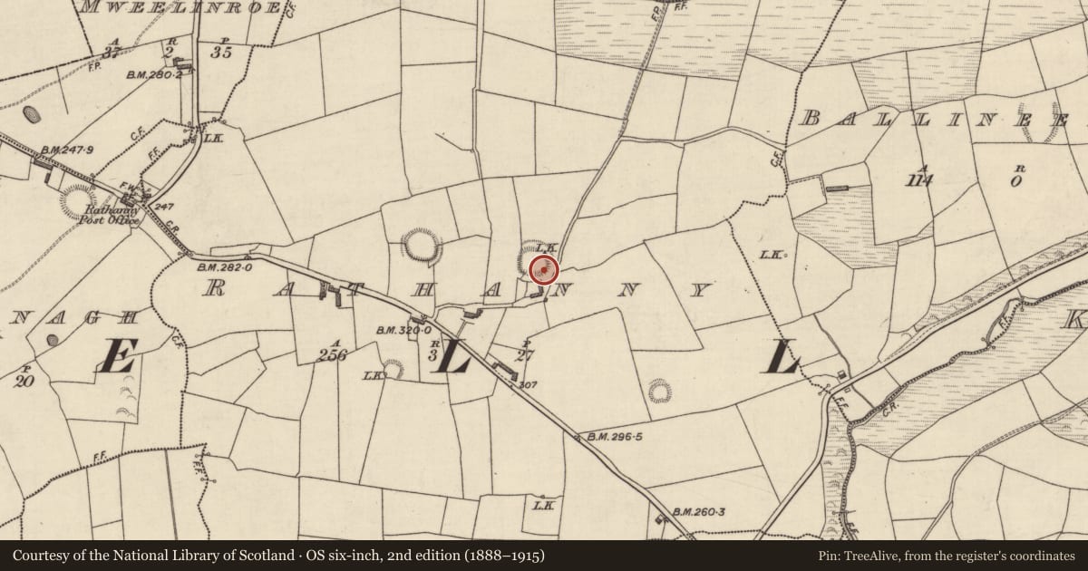 Ordnance Survey six-inch map, 2nd edition (1888–1915) covering the location of Hut site, Rathanny, County Kerry, with a pin at the register's coordinates