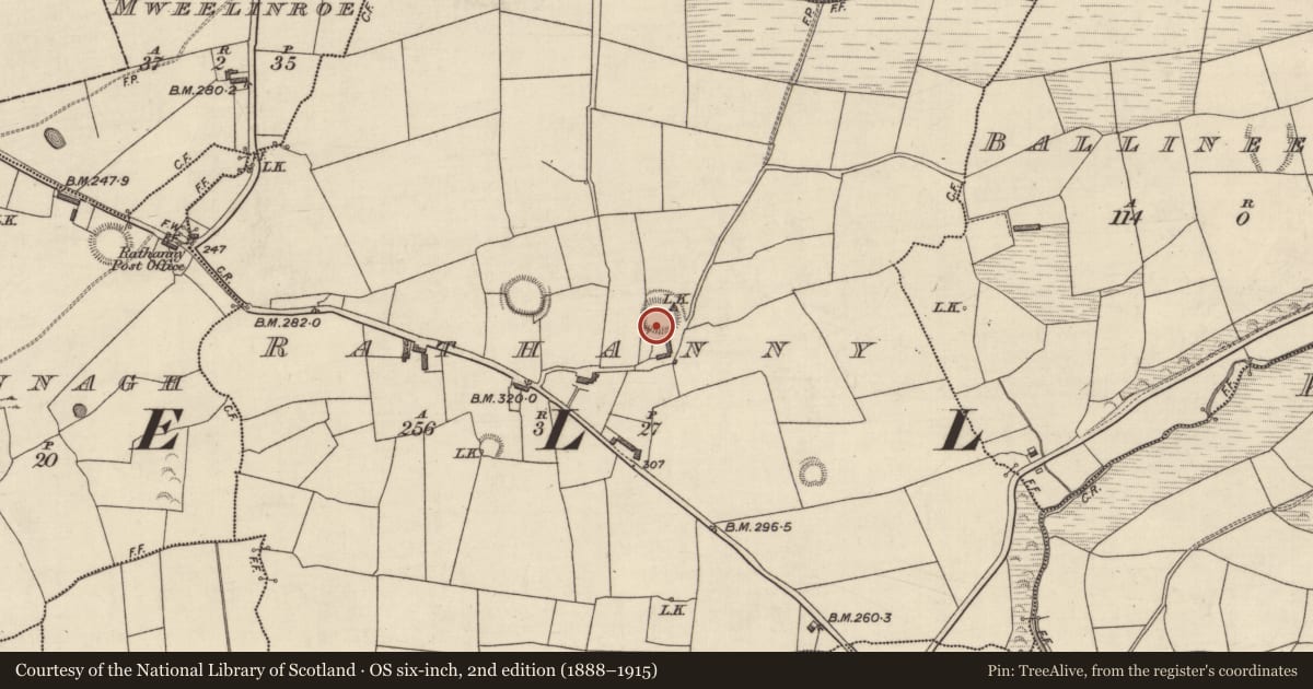 Ordnance Survey six-inch map, 2nd edition (1888–1915) covering the location of Hut site, Rathanny, County Kerry, with a pin at the register's coordinates
