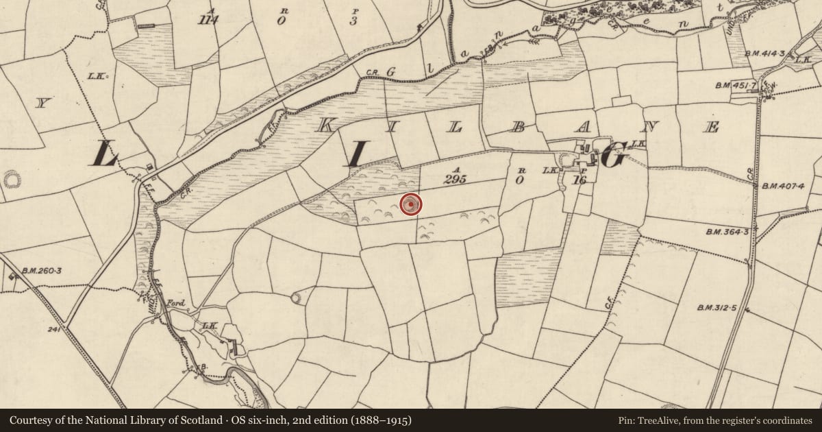Ordnance Survey six-inch map, 2nd edition (1888–1915) covering the location of Ringfort - rath, Kilbane, County Kerry, with a pin at the register's coordinates